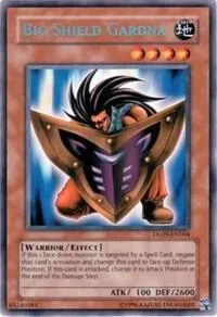 Big Shield Gardna — Duelist League 2010 participation cards