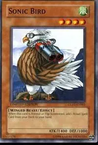 Sonic Bird — Gold Series